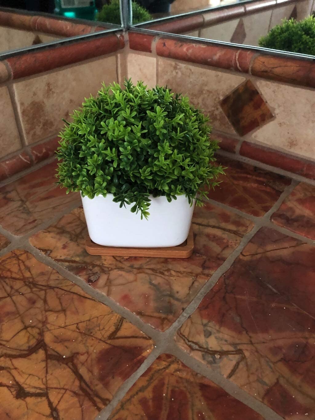 Peach Tree Farm Small Fake Plant Artificial Faux Greenery Clover with Tray