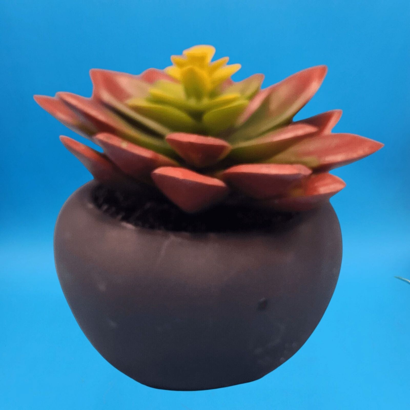 Faux Succulent Plant In Matte Black Round Pot Home Decor House Plant Office