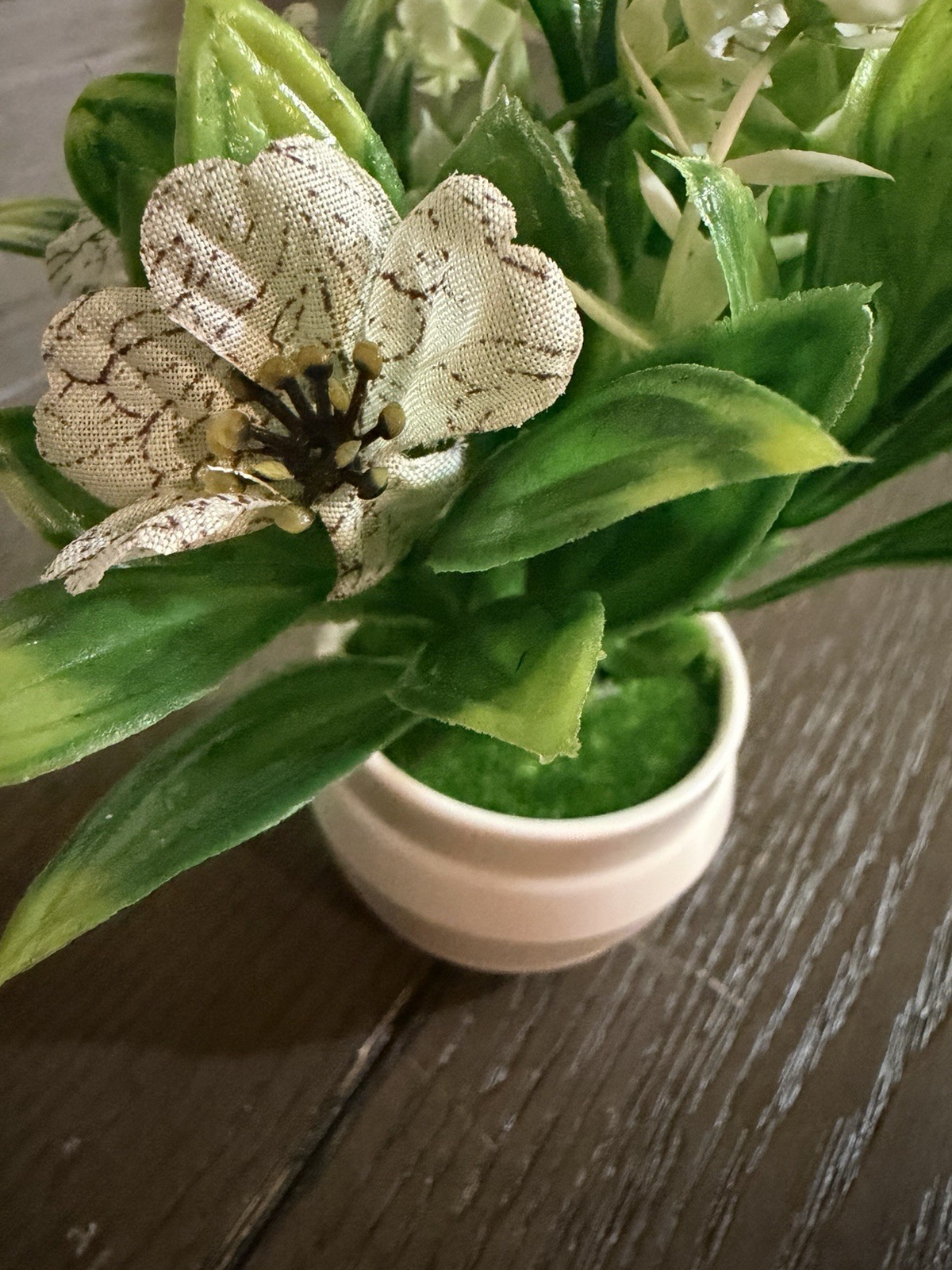 Artificial White Striped Flower Plant in White Pot – Home Décor (SKU 001)