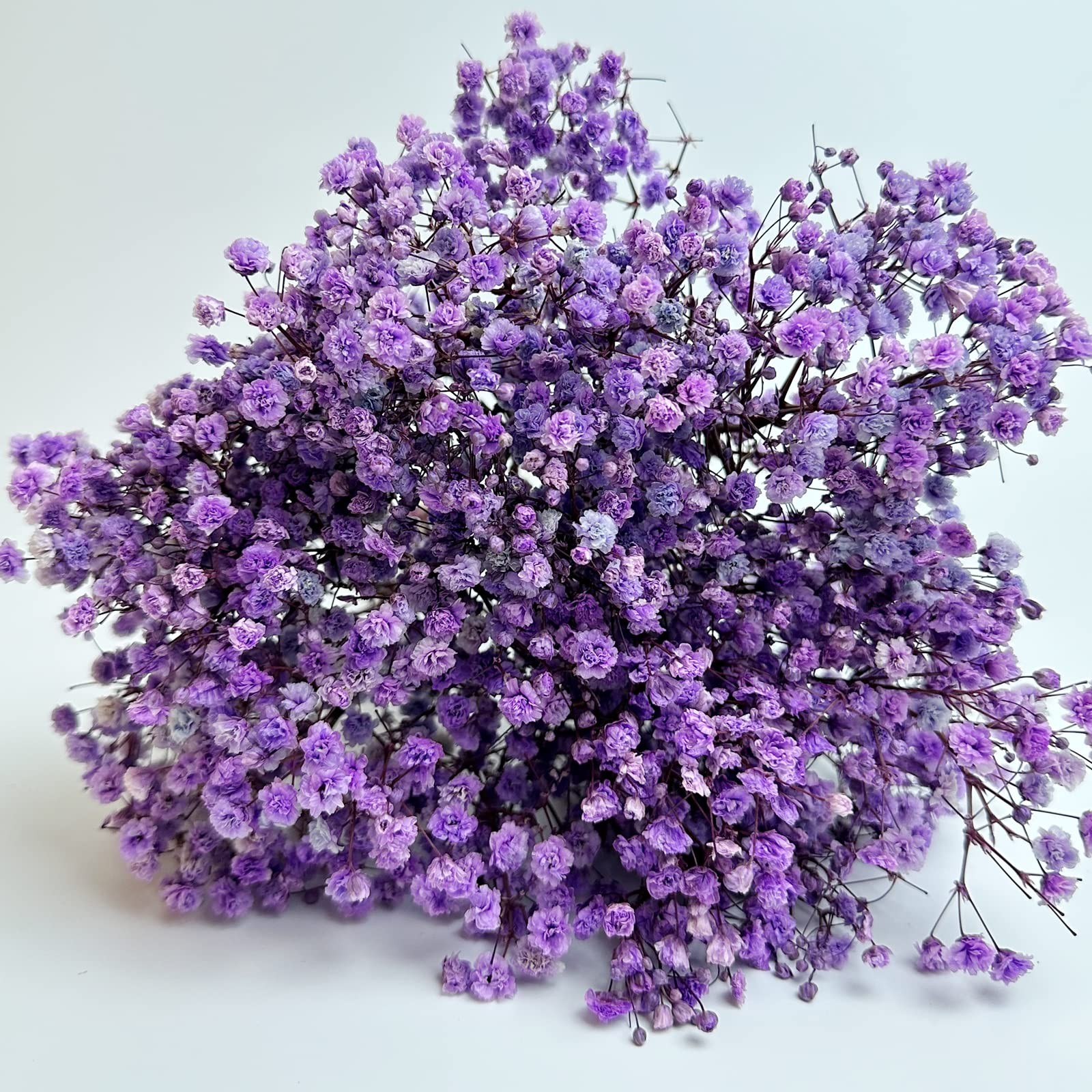 Preserved Baby’s Breath 3 Bunches, 100% Natrual Fresh Gypsophila Long Lasting…