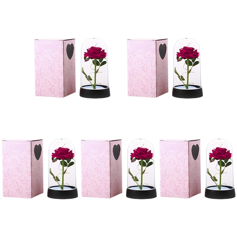 Eternal Rose LED Glass Dome Artificial Flower Romantic Gift for Her Anniversary
