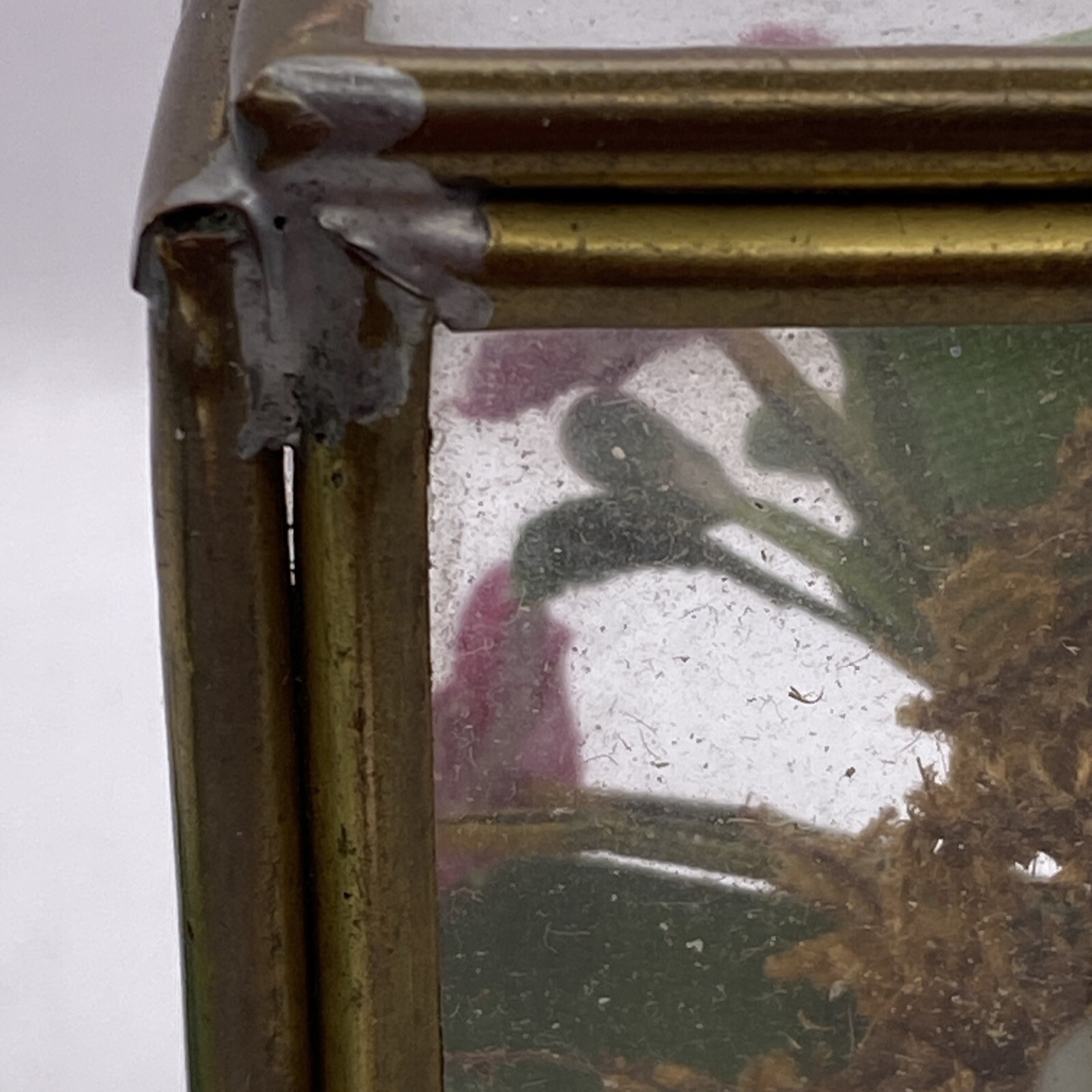 Velvet Flowers in Glass and Brass Box BB7