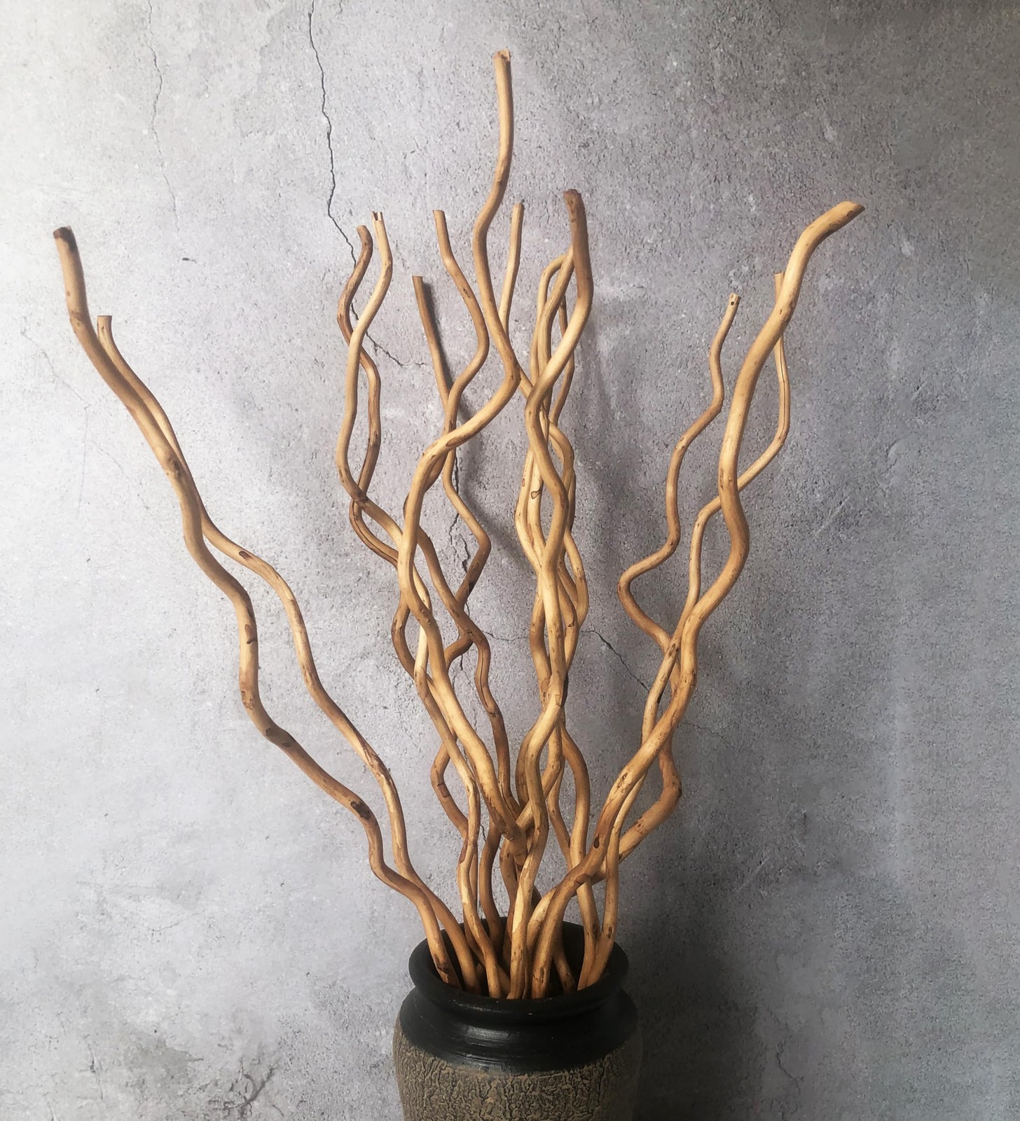 Dried Curly Willow Branches, 14-15 Stems Dried Twigs Sticks 21-23” Natural Dr…