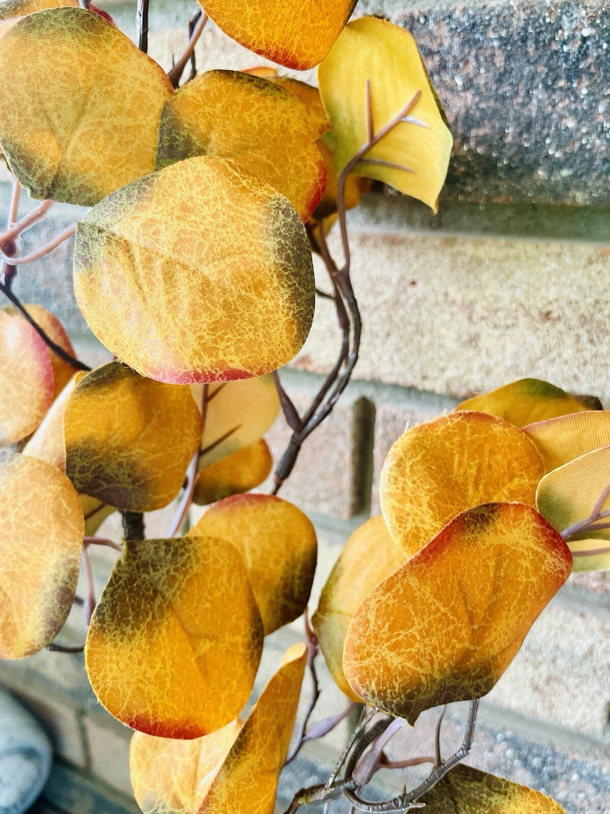 Gold Eucalyptus Pick, 28” One Pick Only
