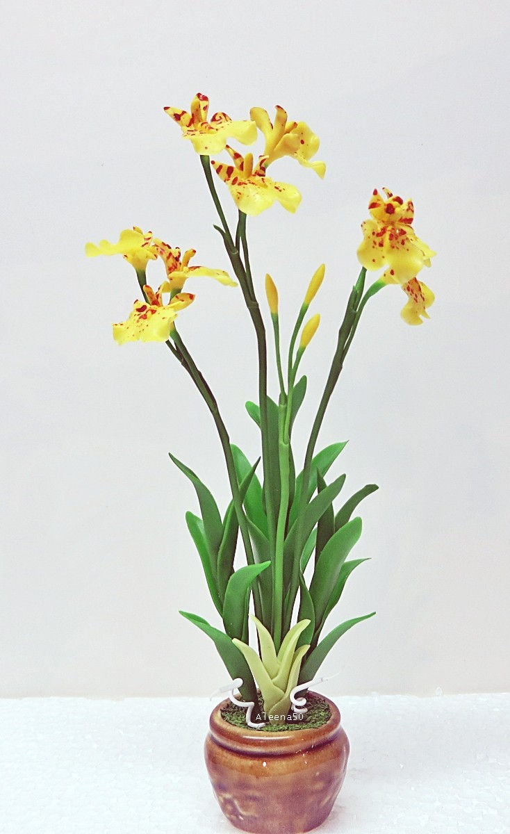 US Stock 7″H Handmade Air-Dry-Clay Miniature Dancing-Lady Orchid Arranged in Pot