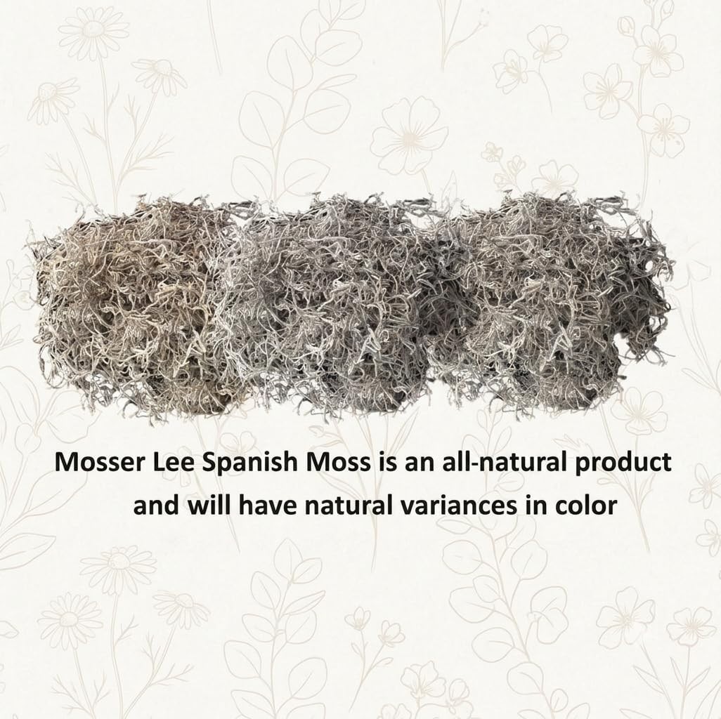 Natural Spanish Moss for Decor, Crafts & Plant Care