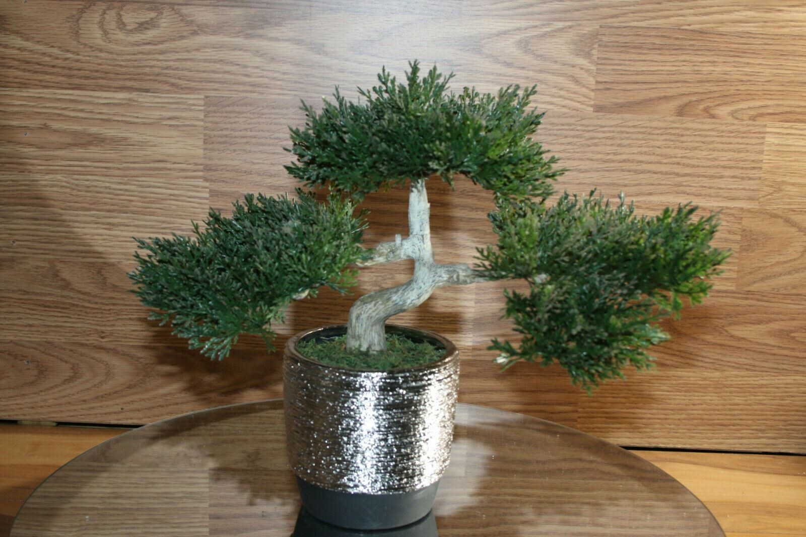 Bonsai Faux Japanese Pine Fake Tree 10x12x6″ Never Dies Cool Home Decor
