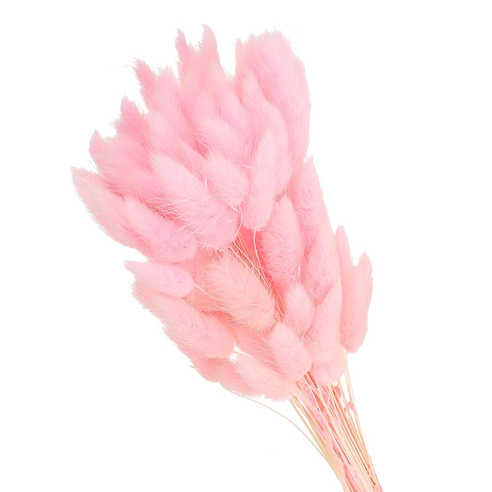 15.7in Bunny Tails Dried Flowers, 80pcs Pampas Grass Decor Rabbit Tail Natura…