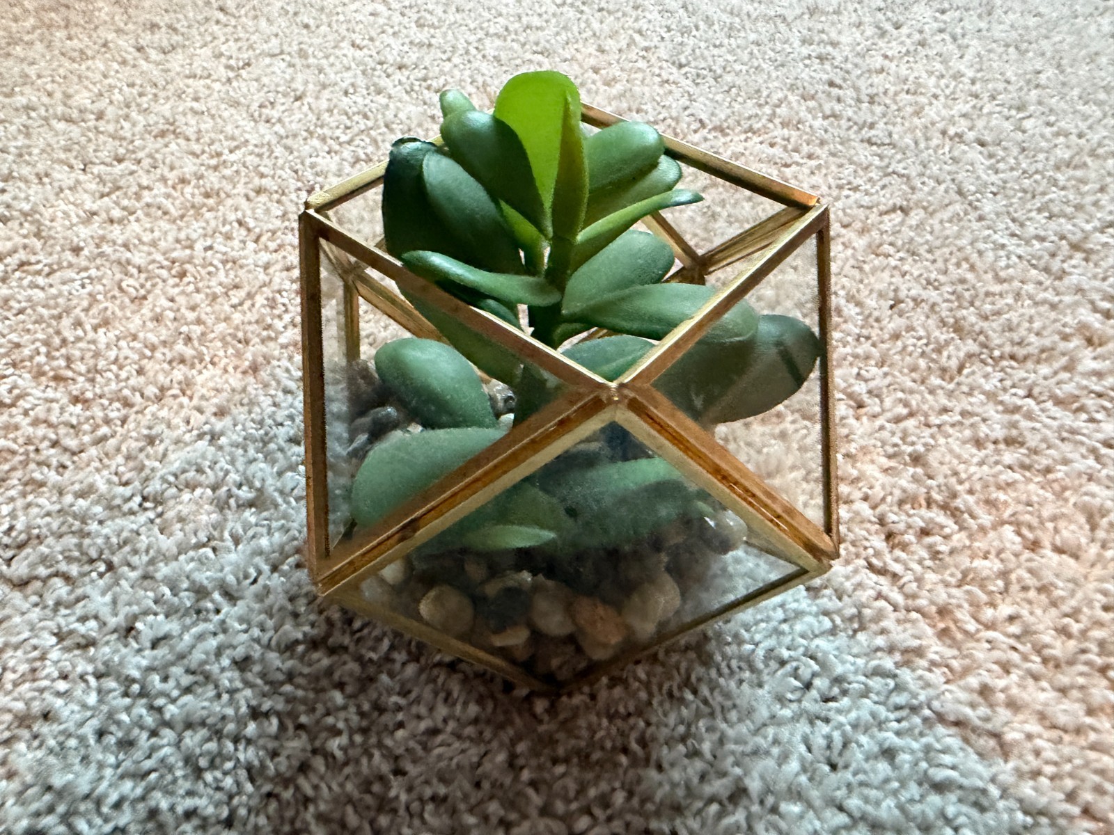 5″ x 4″ Artificial Succulent Plant with Brass Terrarium – Opalhouse
