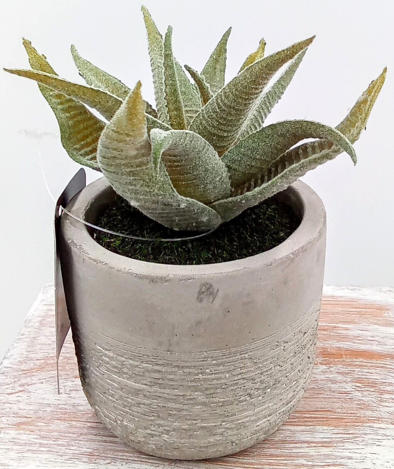 Aloe Succulent Cement Pot Planter Gray Green Artificial Plastic Foam Floral 4.5″