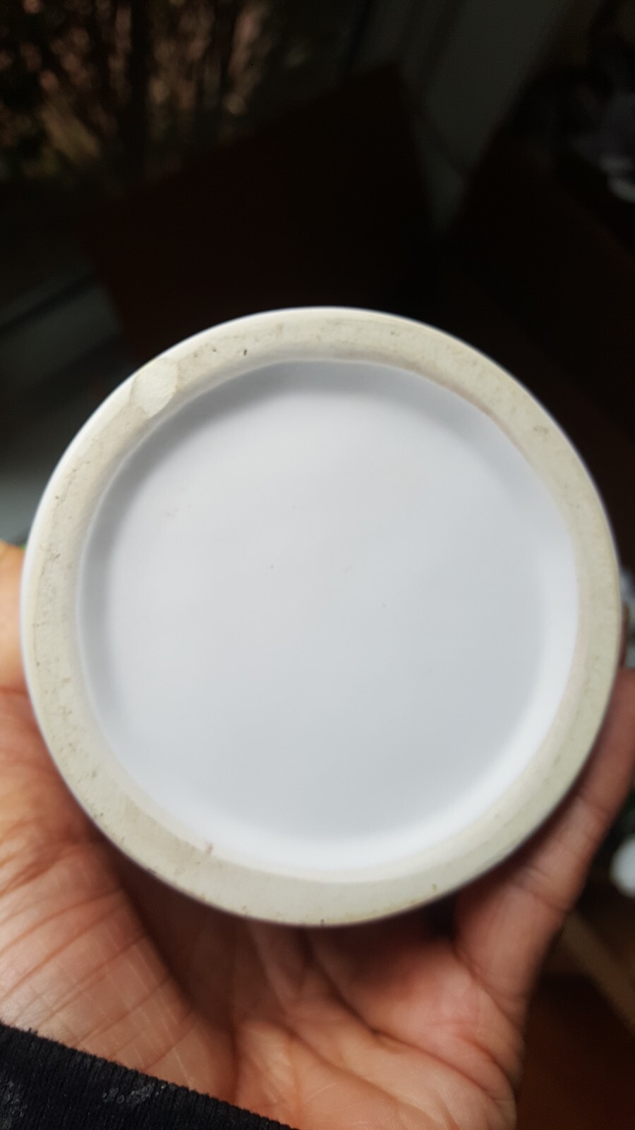 Artificial Succulant Potted Matte White Cylinder Pottery Planter