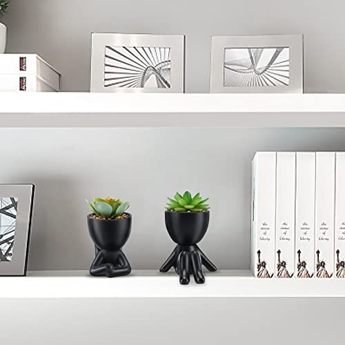 Fake Succulent, Mini Succulents Plants Black Ceramic Pot a Green Succulent