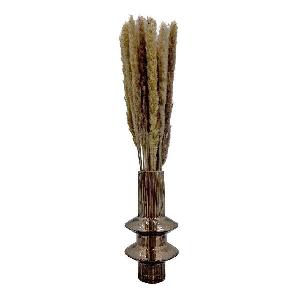 20 In. Brown Natural Indoor Non Artificial Dried Preserved Small Pampass Grass (