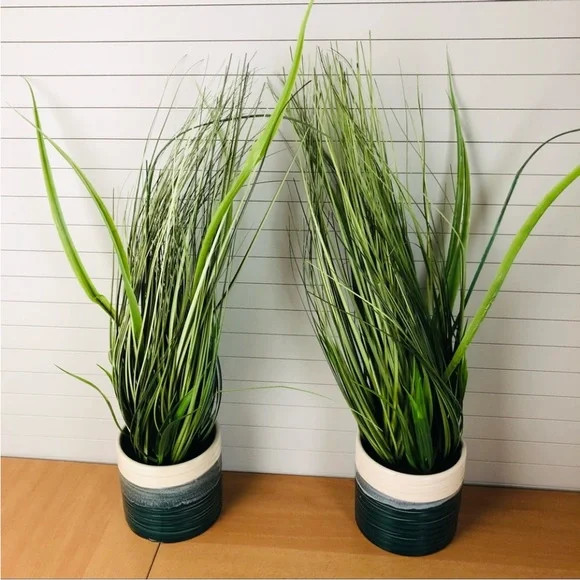 2-Pack Crate & Barrel Artificial Onion Grass in Porcelain Pots *NEW