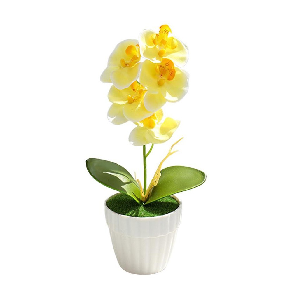 Small Simulation Phalaenopsis Bonsai Flower for Indoor Decorative Display