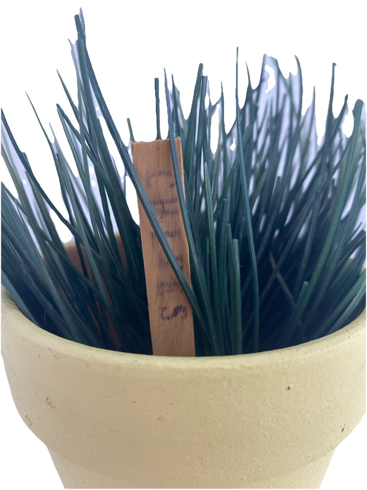 Artificial Plant Chives in Yellow Terracotta Clay Flower Pot Home Faux Indoor