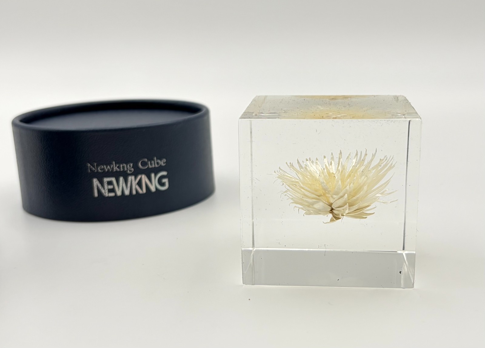 Luxury Natural Real Flowers/Seeds/Plants in Acrylic (not Epoxy Resin), 5CM / 2″