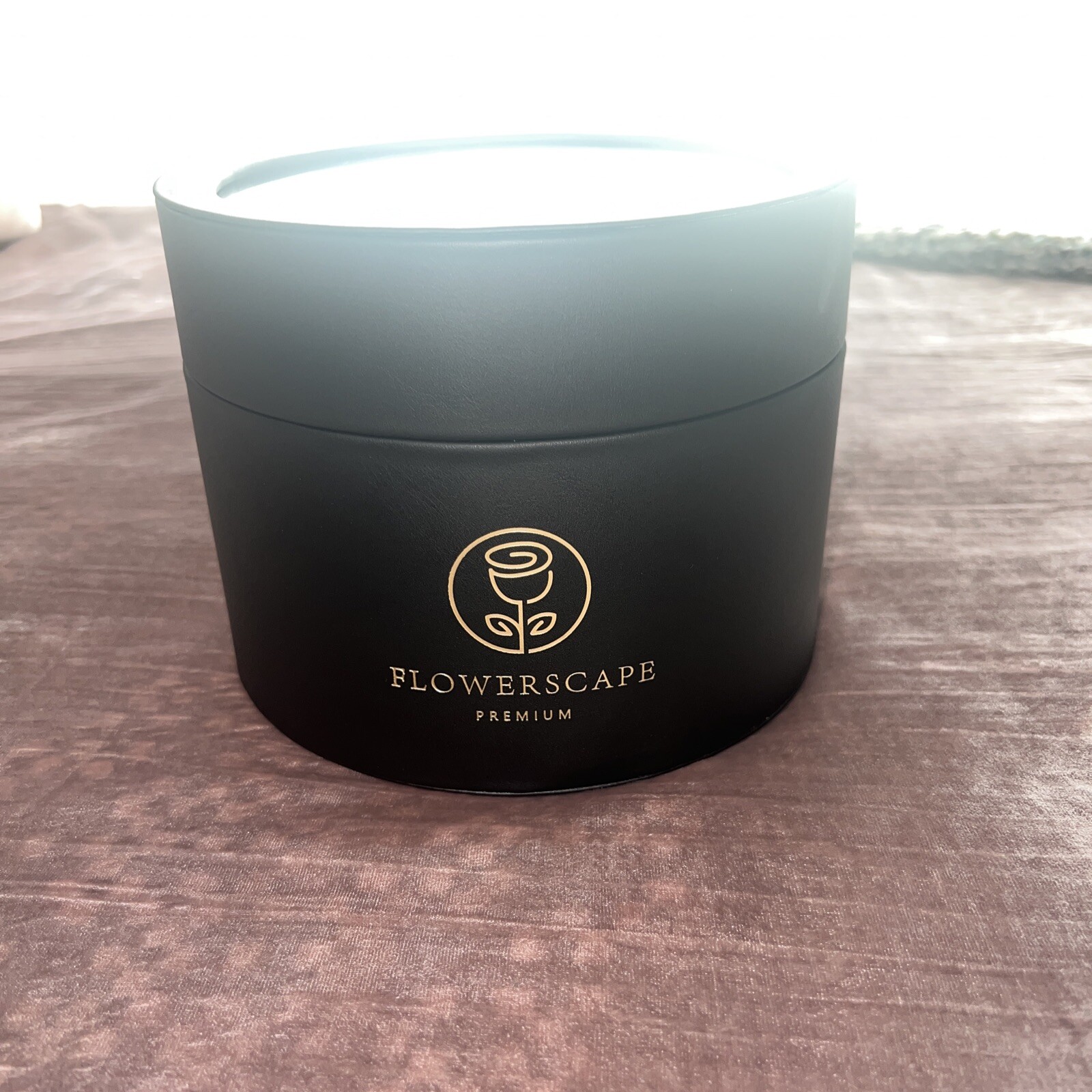 New Flowerscape Premium Forever Roses – 12 Long Lasting Real Red Roses in a Box