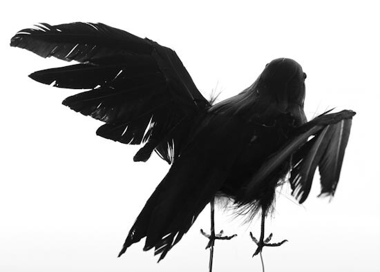 Package of 2 Black Feathered Flying Artificial 7-1/2″ Black Crows