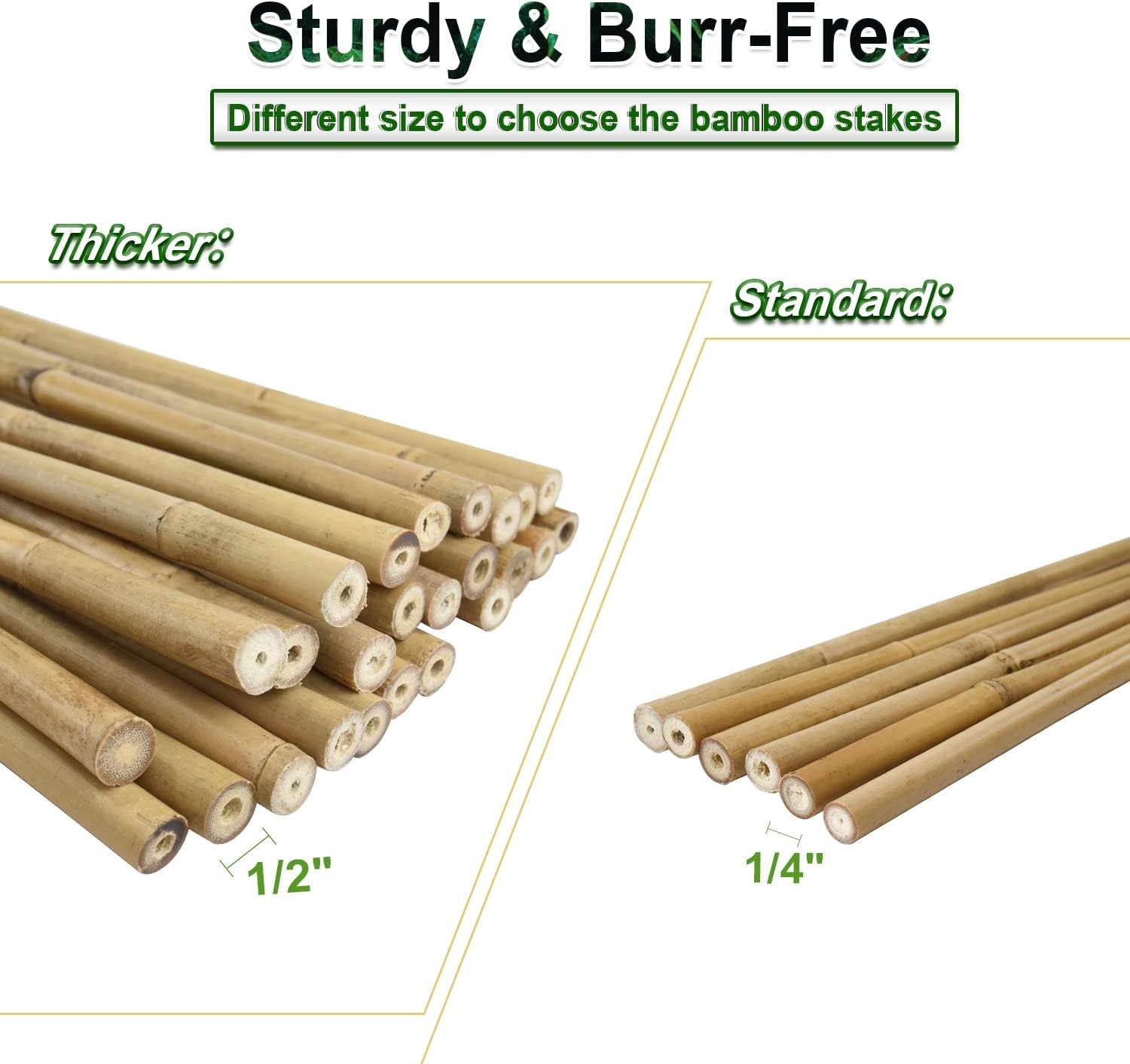 25Pcs 1/2″ D Thicker Heavy Duty Bamboo Stakes 4Ft Plant Stakes Natural Garden St