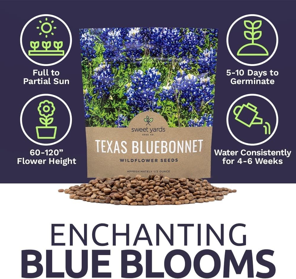 Texas Bluebonnet Wildflower Seeds – 1/2 Ounce Bulk Packet, 500+ Seeds
