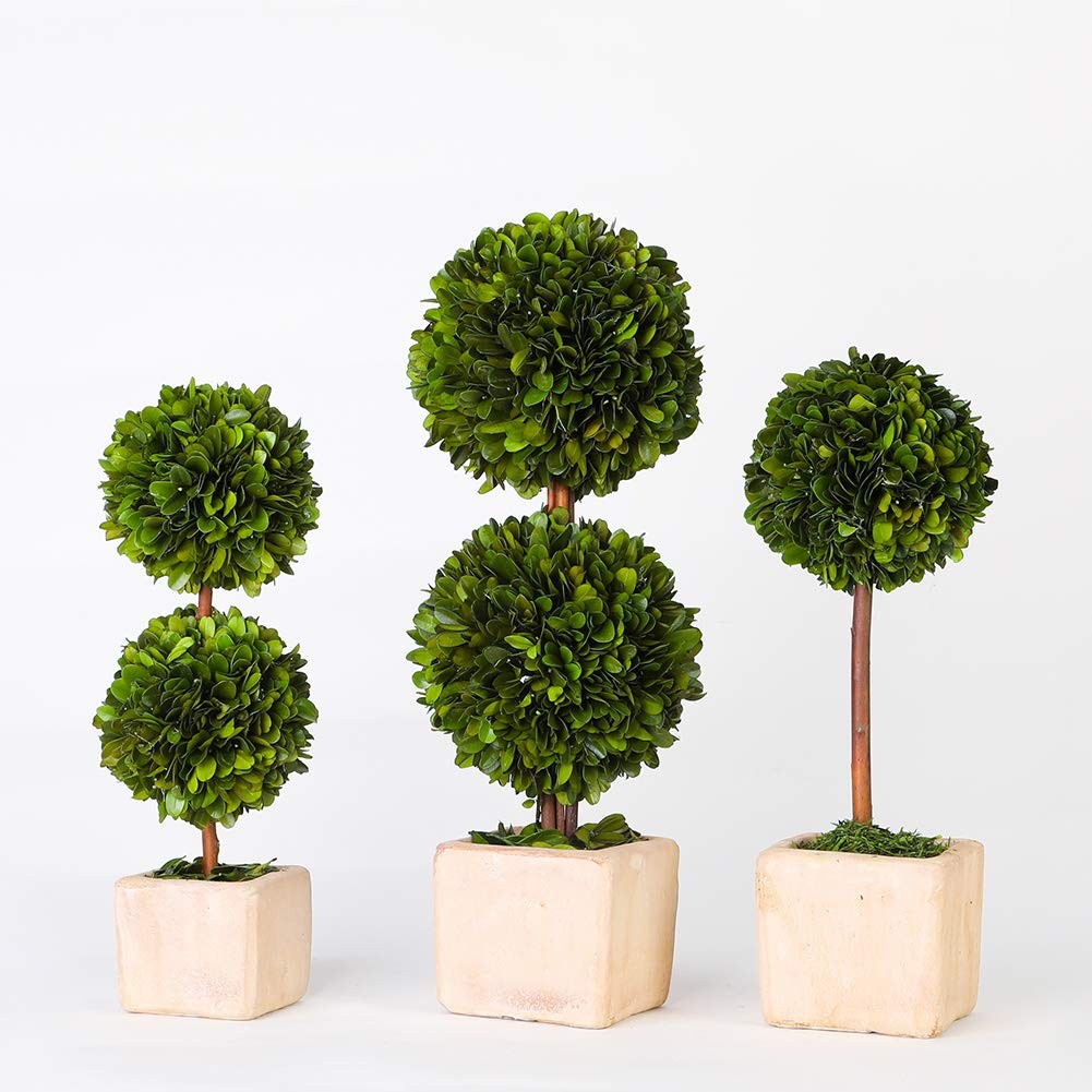 Potted Preserved Boxwood Topiary Green Plant for Home Decor Double Ball Shape 12