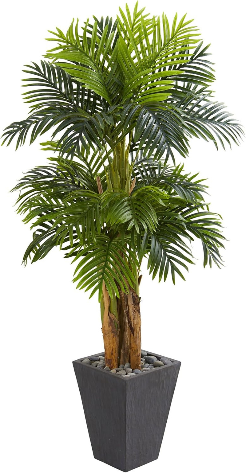 5.5Ft Triple Areca Palm Tree in Stylish Slate Planter for Home Decor