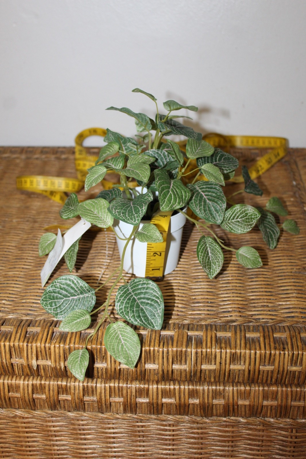 Williams Sonoma Artificial Potted Mosaic Leaf Plant