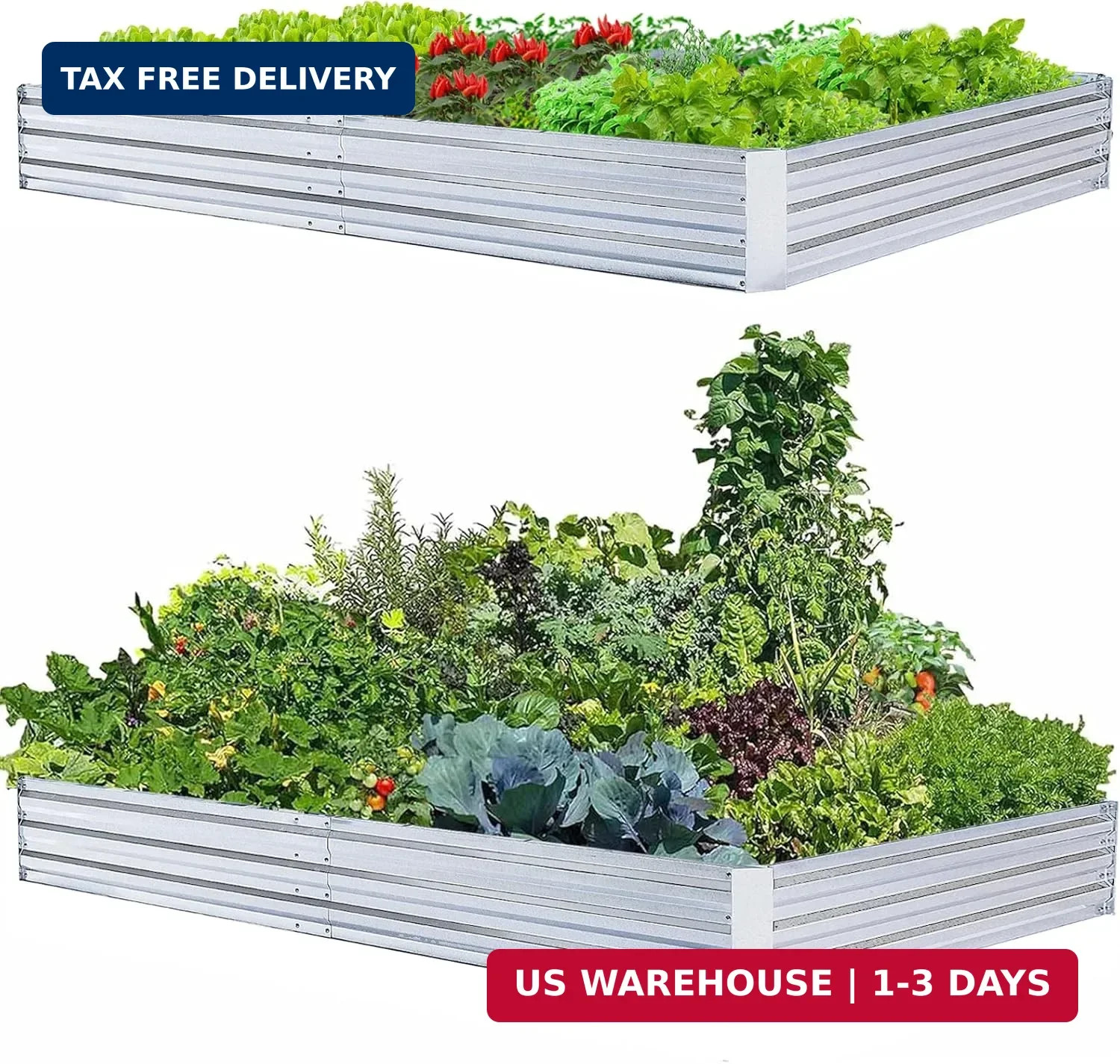 Galvanized Raised Garden Beds 2-Pack (8x4x1ft Each) – Overlapping 4-Inch Panels