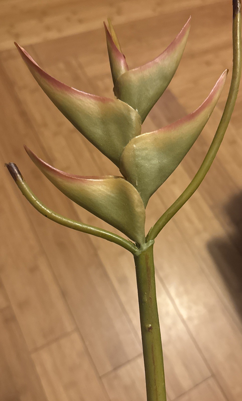 Artificial Heliconia Flower bundle of 5, Green In Color.