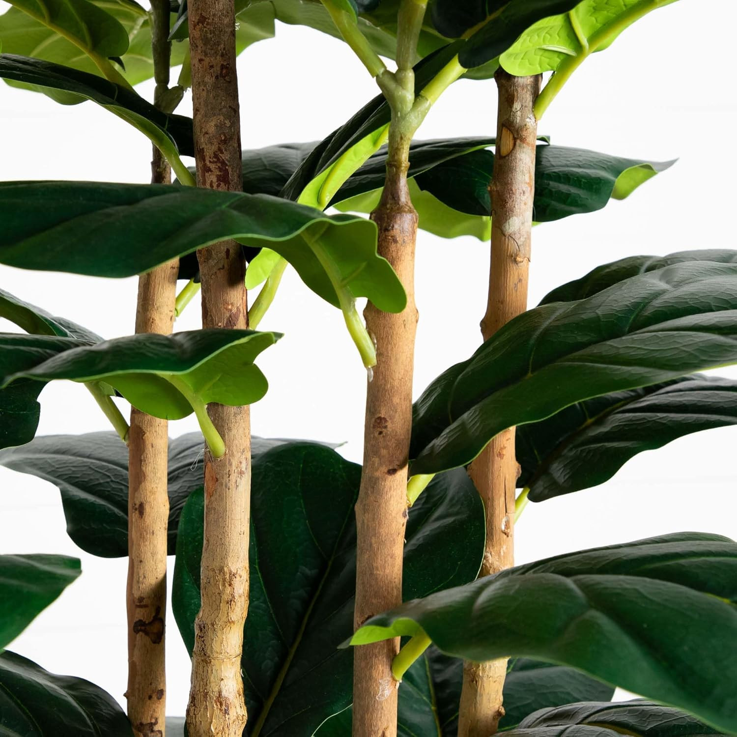 7Ft Artificial Fiddle Leaf Tree in Stylish White Planter –