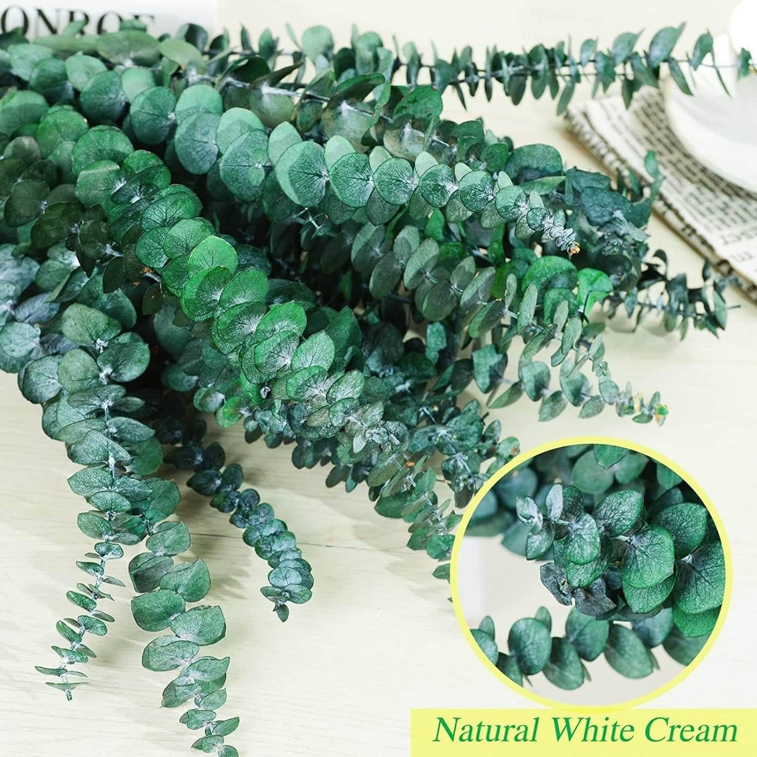 Bulk Package 30 PCS Real Dried Eucalyptus Plant Large Stems for Shower, Natura