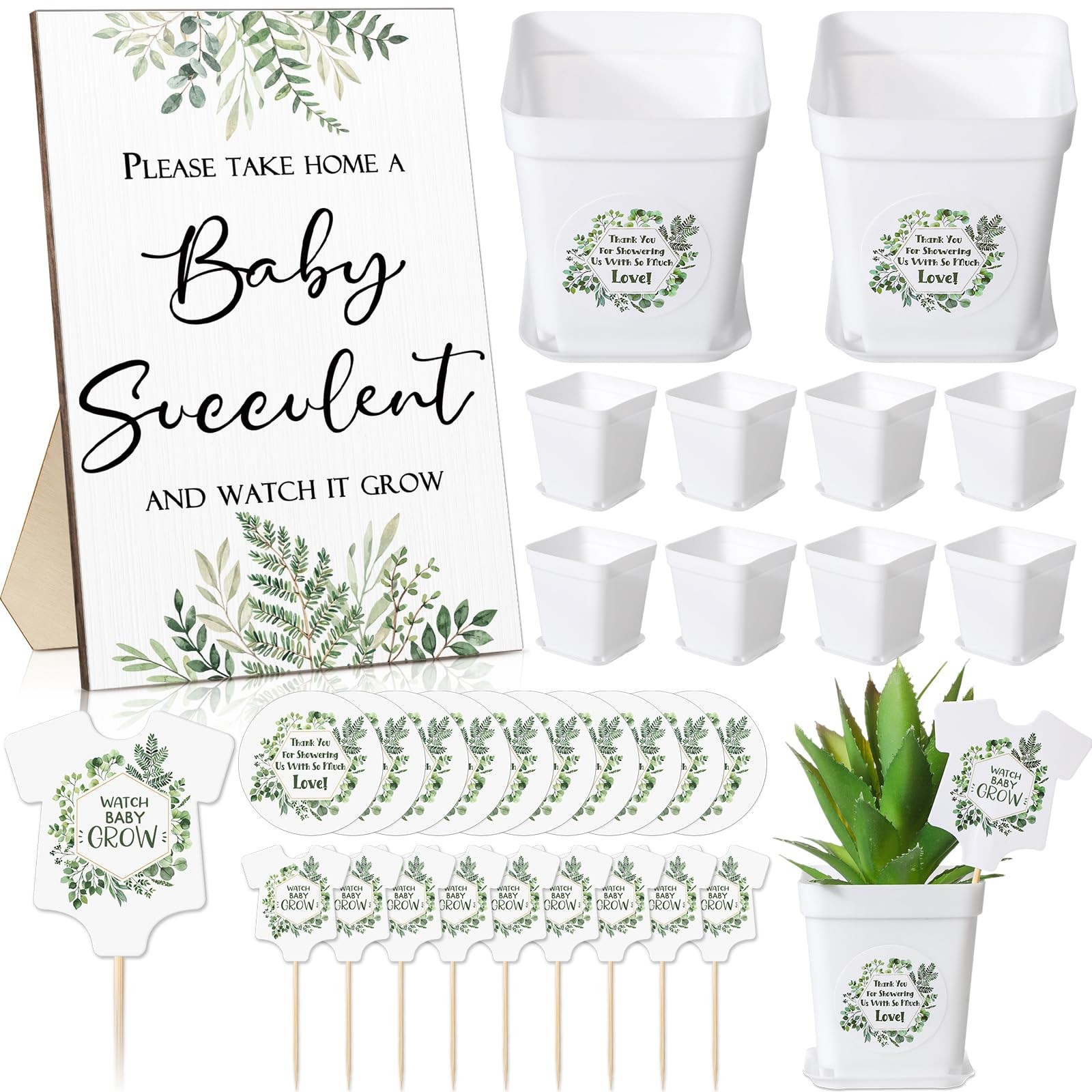 151 Pcs Baby Shower Succulents Favors for Guests Include 1 Safari Greenery Ba…