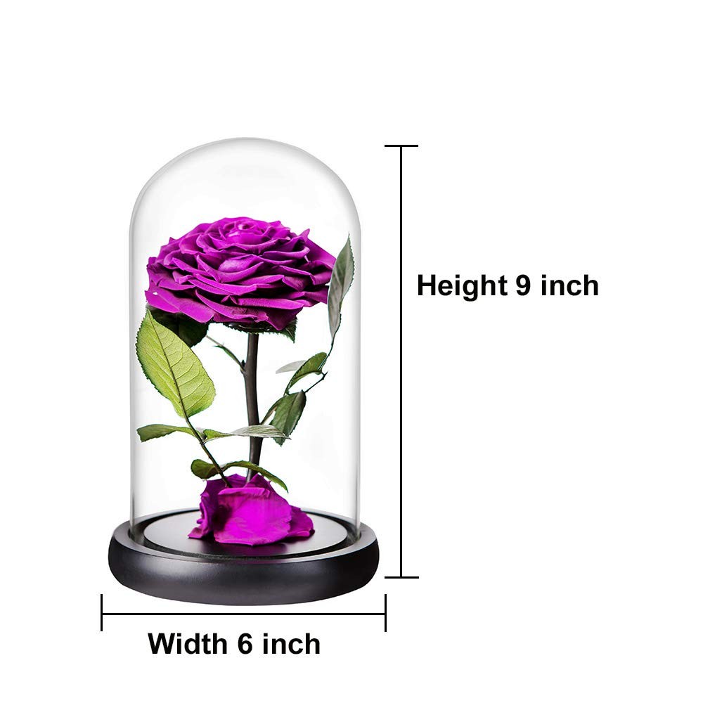 Preserved Flowers Handmade Purple Rose in Glass Dome 9 inch Romantic Gift