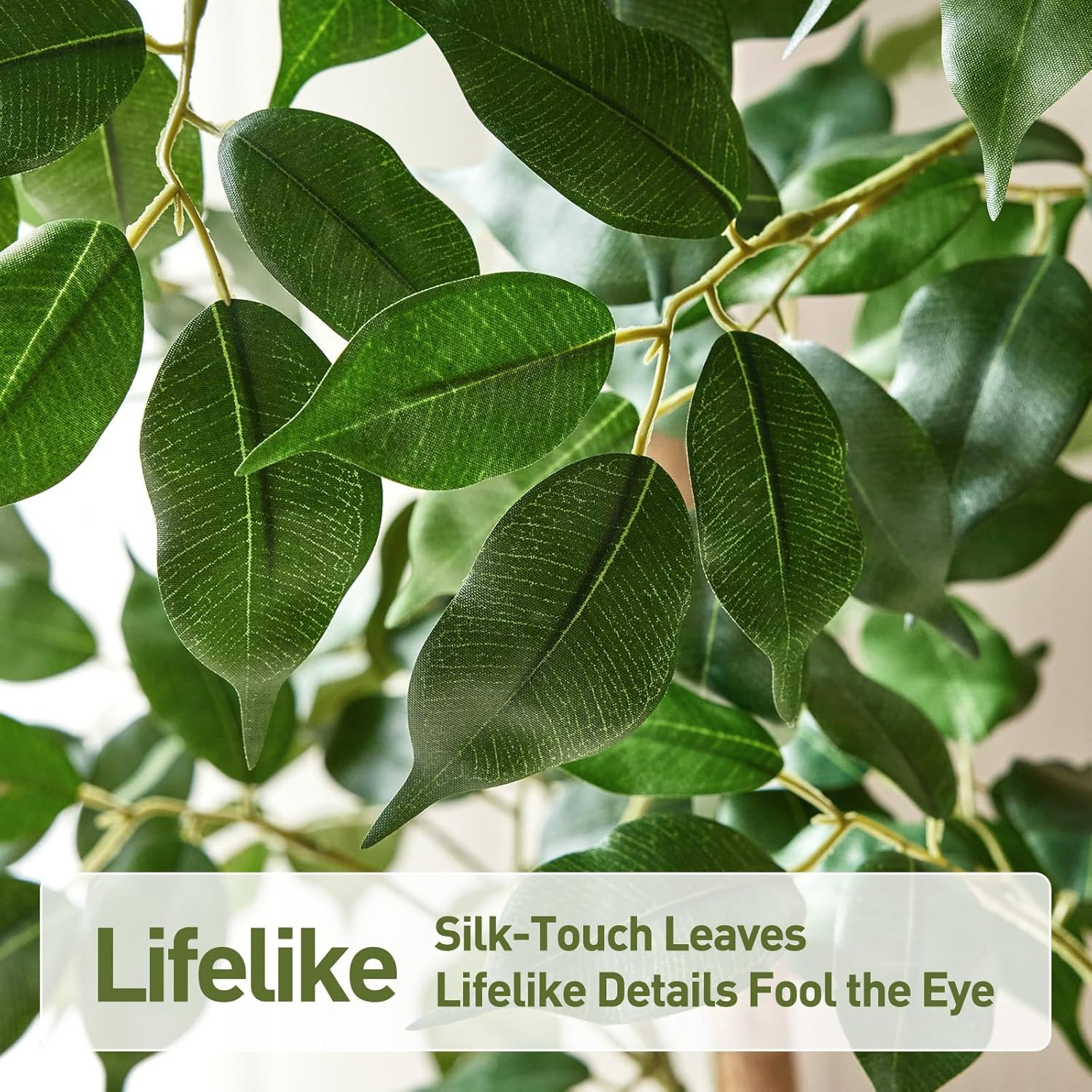 7Ft Ficus Tree – Realistic Faux Plant with White Planter for Home & Office Decor