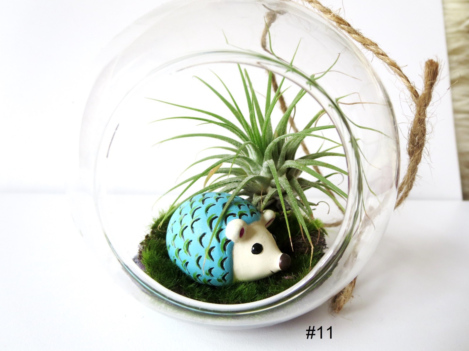 Air Plant Wall Decor Shell Air Plant Display Hanging Tillandsia Minimalist