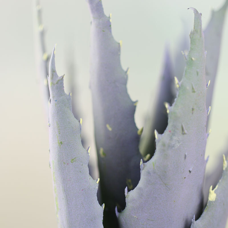 Artificial Aloe Plant Picks