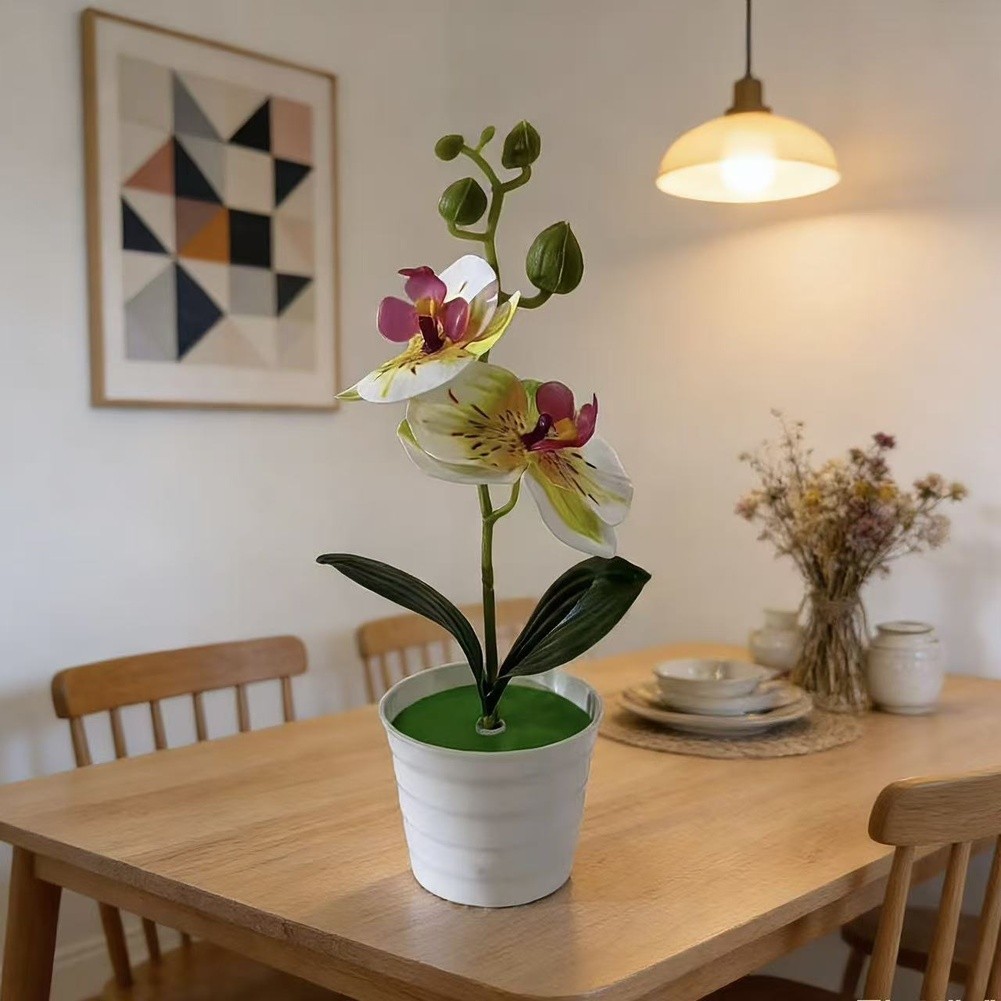 Fake Orchid Plant Phalaenopsis Type for Living Room Bedroom Study Decor Plastic