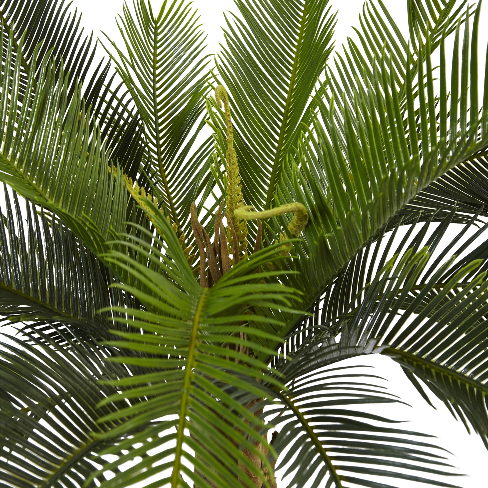 Cycas Tree in Wood Planter Realistic Plant Nearly Natural 3’ Home Garden Decor