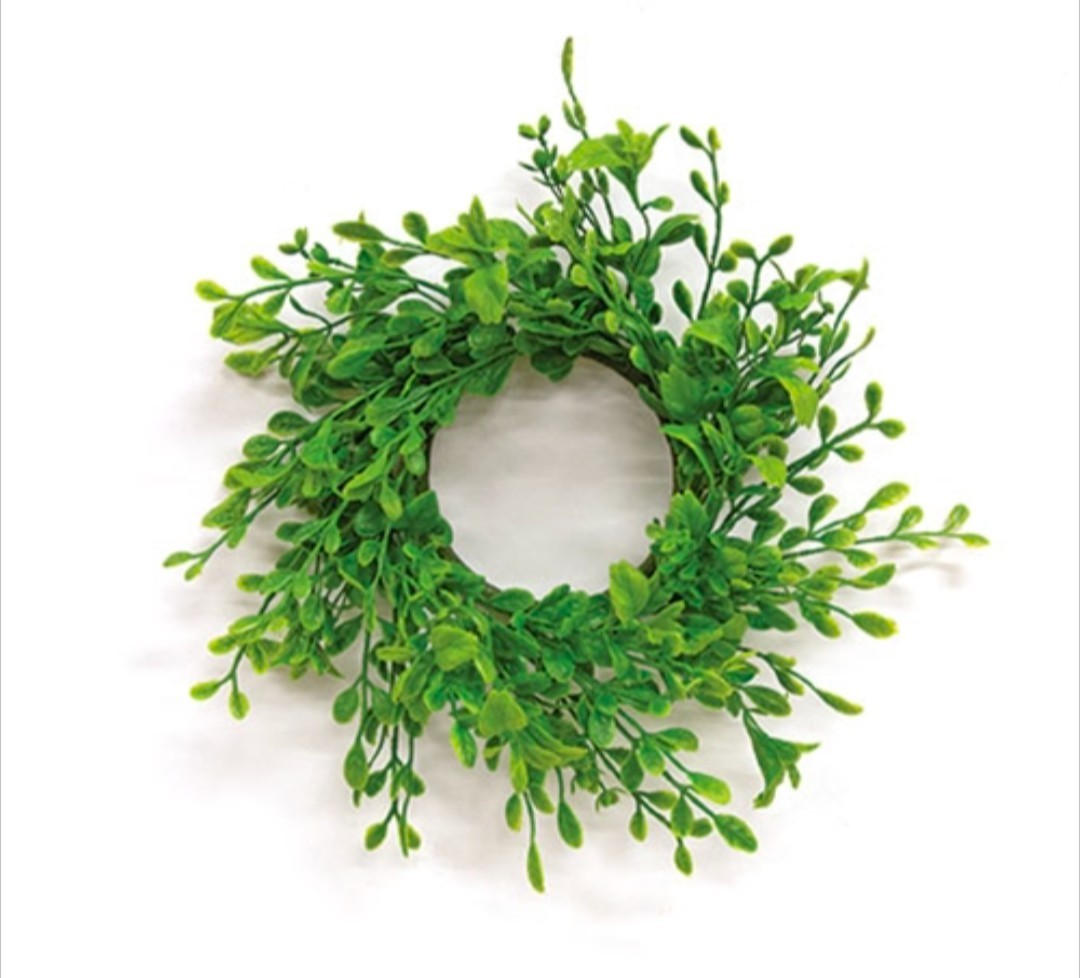3″ Fresh Sprouted English Boxwood Candle Ring
