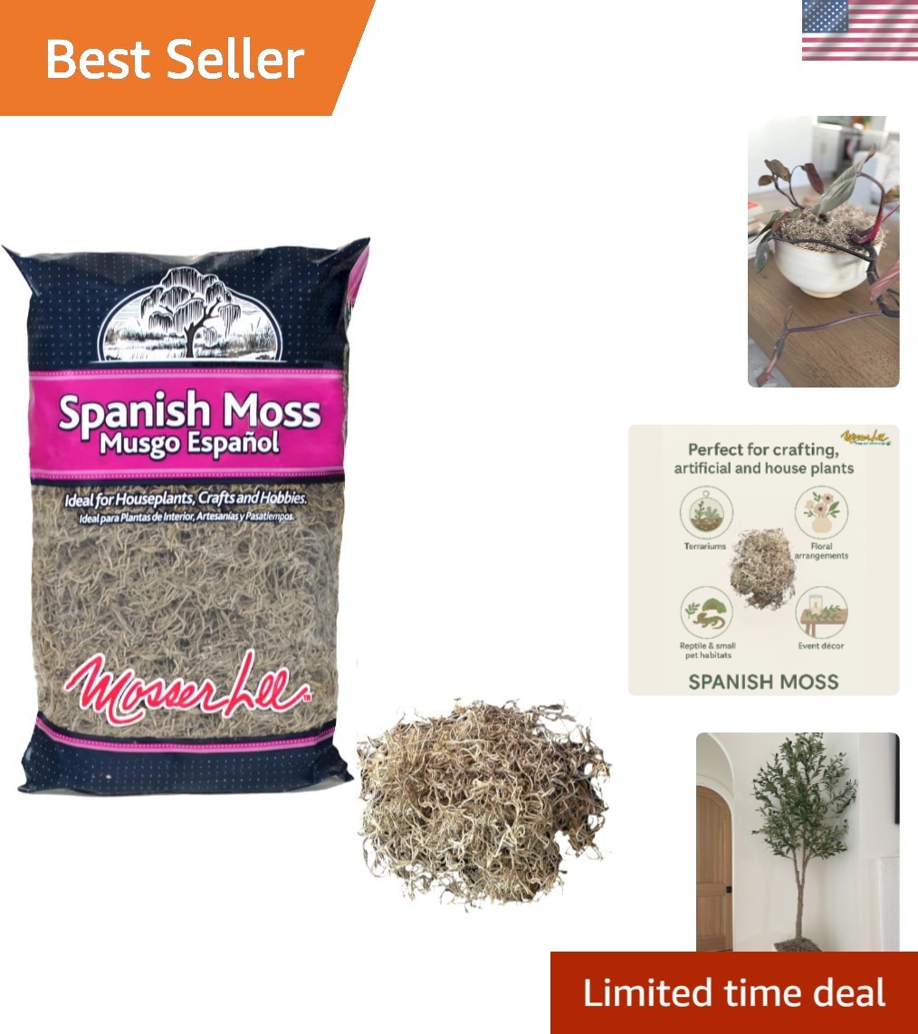 400 Cubic Inches of Spanish Moss – Natural Decorative Moss for Crafts & Plants