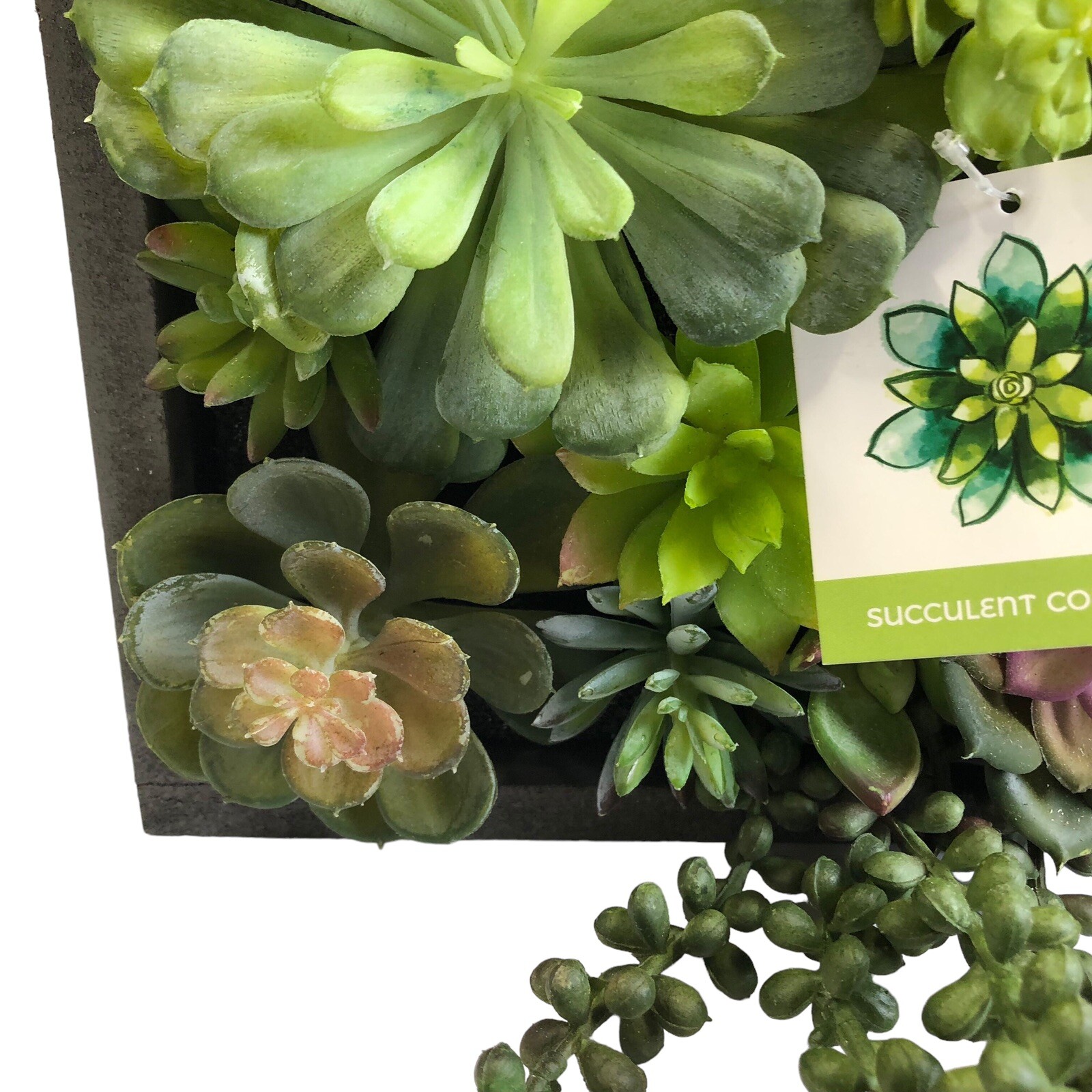 WALL OF FAUX SUCCULENT Cactus in Gray Wood Box Decor Display 12x12x3 inches New
