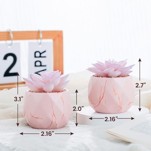 Artificial Succulent Plants in 2 Ceramic Pots, Cute Fake Plants for Vanity Pink