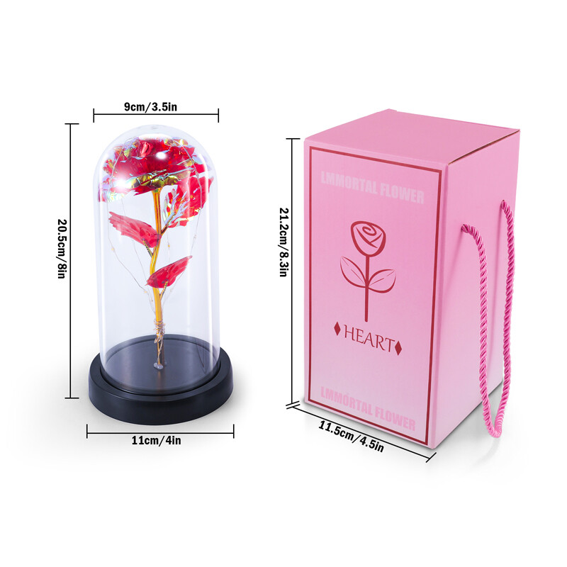 Eternal Rose Flower Lamp 24K Gold Foil Rose in Glass Dome Gifts for Valentine’s