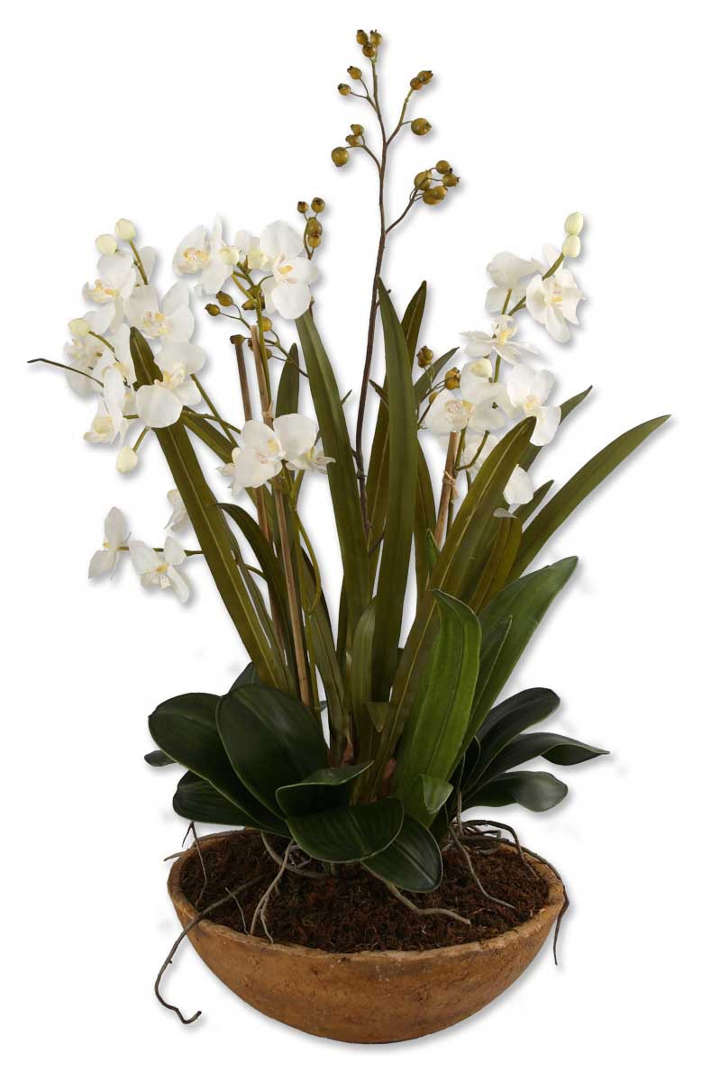 Uttermost 60039 Moth Orchid Planter n/a Botanical