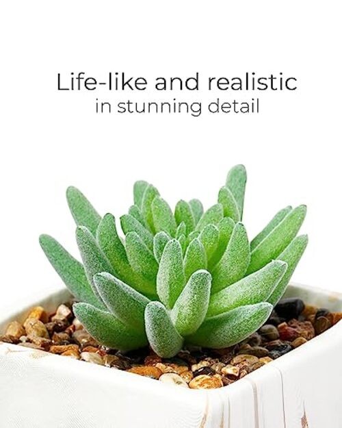 Nordik Square Marble Pots with Gold Vein Accents – Set of 3 Ceramic White Gold