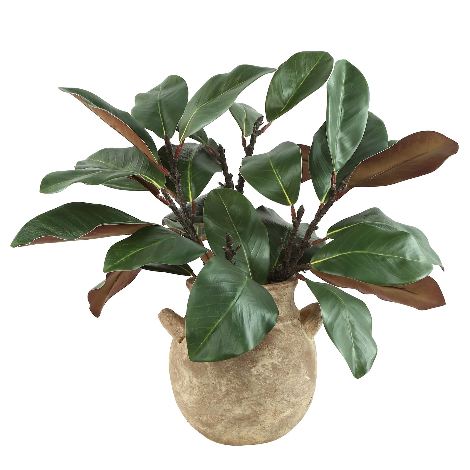 Coferset 5PCS Magnolia Artificial Stems 22 Inch Faux Magnolia Leaves 3D Real …