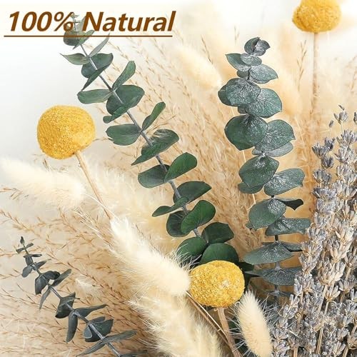 Dried Pampas Grass Bouquet – Boho Pampas Grass Decor for Home, Vase Fillers & C