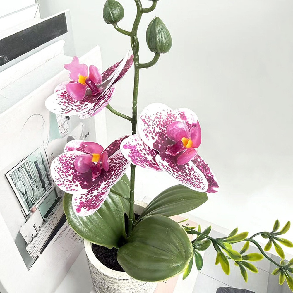 Realistic Artificial Butterfly Orchid Potted Plant 25.5cm for Wedding Decor