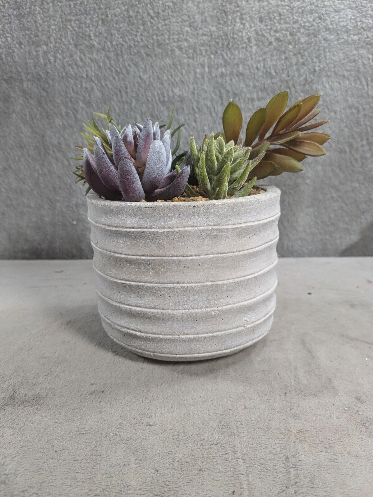 6.5” Vibrant Assorted Artificial Succulent Plants in Rustic Textured Pulp Pot